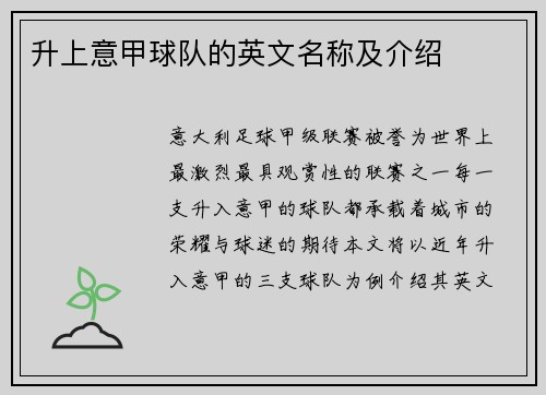 升上意甲球队的英文名称及介绍